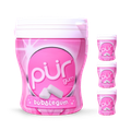 Image 1 for Bubblegum Gum 4 x 70g Shaker Cups