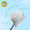 Image 4 for WildOnes Koala Rechargeable Toothbrush