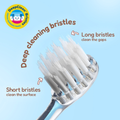 Image 3 for WildOnes Bear Rechargeable Toothbrush
