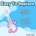 Image 5 for BabySonic 18-36 month Replacement Brush Heads 4 pack