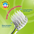 Image 3 for WildOnes Replacement Brush Heads (4 Pack)