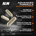 Image 5 for ZM6 - High Strength Zinc, Magnesium & Vitamin B6 - 360 Vegan Capsules