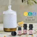 Image 2 for Aroma Diffuser with Energy & Immunity Essential Oil Set‚ Eucalyptus, Lemon & Peppermint 5ml x 3‚ Live Calm