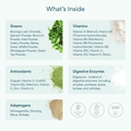 Image 4 for BetterGreens Mushroom Powder With 50 Ingredients 30 Servings