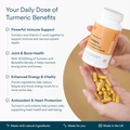 Image 2 for Turmeric Complex with Black Pepper & Boswellia Serrata 60 Capsules