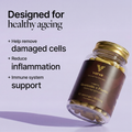 Image 2 for Quercetin + Fisetin 1500mg - Longevity & Healthy Ageing Support - 30 Servings