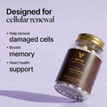 Image 2 for Spermidine 18mg - Longevity & Cellular Renewal - 30 Servings