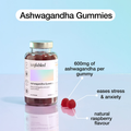Image 4 for Ashwagandha Gummies 60s
