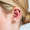 Image 2 for Ear Seed Kit for Digestion - 20 Gold Plated Ear Seeds