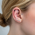 Image 3 for Ear Seed Kit for Weight Loss - 20 Crystal Ear Seeds
