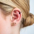 Image 2 for Ear Seed Kit for Everyday Wellbeing - 20 Silver Plated and 60 Natural Ear Seeds