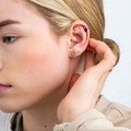 Image 3 for Ear Seed Kit for Everyday Wellbeing - 20 Silver Plated and 60 Natural Ear Seeds