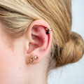 Image 3 for Ear Seed Kit for Everyday Wellbeing - 20 Rose Gold Plated and 60 Natural Ear Seeds