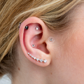 Image 2 for Ear Seed Kit for Everyday Wellbeing - 20 Crystal and 60 Natural Ear Seeds
