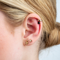 Image 2 for Ear Seed Kit for Everyday Wellbeing - 80 Gold Plated Ear Seeds