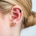 Image 3 for Ear Seed Kit for Women 40+ - 20 Silver and 60 Natural Ear Seeds