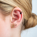 Image 3 for Ear Seed Kit for Women 40+ - 20 Rose Gold Plated and 60 Natural Ear Seeds