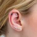 Image 3 for Ear Seed Kit for Women 40+ - 20 Crystal and 60 Natural Ear Seeds