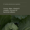 Image 4 for Organic Nature's Living Superfood Powder - 300g