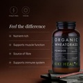 Image 2 for Organic Wheatgrass Powder - 100g