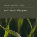 Image 4 for Organic Wheatgrass Powder - 100g