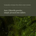Image 4 for Organic Chlorella - 200 Tablets