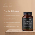 Image 2 for Oragnic Acerola Powder - 100g