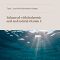 Image 4 for Marine Collagen Beauty Blend Powder - 20g