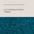 Image 4 for Pure Marine Collagen - 150 Vegicaps
