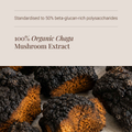 Image 4 for Organic Chaga Mushroom Extract - 60 Vegicaps