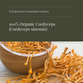 Image 4 for Organic Cordyceps Mushroom Extract - 60 Vegicaps