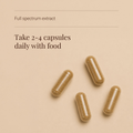 Image 3 for Organic Maitake Mushroom Extract - 60 Vegicaps