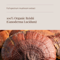 Image 4 for Organic Reishi Mushroom Extract - 60 Vegicaps