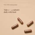 Image 3 for Organic 8 Multi Mushroom Extract Blend - 60 Vegicaps