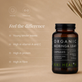 Image 2 for Organic Moringa - 120 Vegicaps