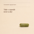 Image 3 for Organic Moringa - 120 Vegicaps
