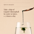 Image 3 for Liquid Chlorophyll - 250ml