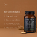 Image 2 for Organic Oyster Mushroom Extract - 60 Vegicaps