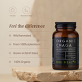 Image 2 for Organic Chaga Mushroom Extract Powder - 50g