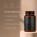 Image 2 for Organic Lion's Mane Mushroom Extract Powder - 50g