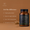 Image 2 for Organic Oyster Mushroom Extract Powder - 50g