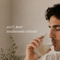 Image 5 for Organic Oyster Mushroom Extract Powder - 50g