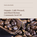Image 4 for Organic Castor Oil - 250ml