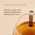 Image 3 for Himalayan Shilajit Resin - 30g
