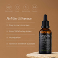 Image 2 for Organic Multi-Mushroom Extract Tincture - 50ml