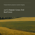 Image 4 for Organic Beef Liver - 180 Vegicaps