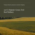 Image 4 for Organic Beef Kidney - 180 Vegicaps