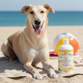 Image 2 for Beach Day, Towel Off Pet Shampoo For Sea Salt & Sand 500ml
