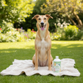 Image 2 for The Critters, Naturally Repelling Towel Off Pet Shampoo 500ml