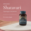 Image 3 for Organic Shatavari Capsules - 60's Capsules